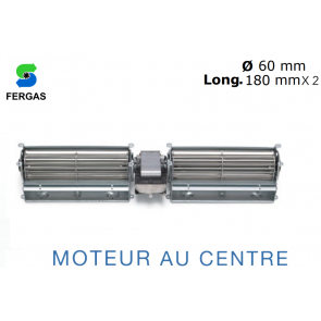 Fergas TGD 60/1-180/30 Dubbele Tangentiële Ventilator